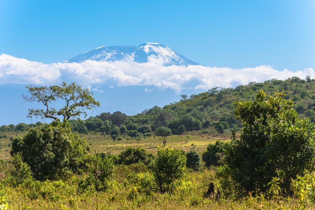 Вилла Hillside Retreat - Africa Amini Life Usa River Экстерьер фото