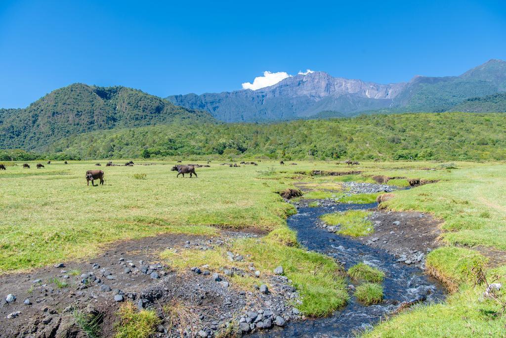 Вилла Hillside Retreat - Africa Amini Life Usa River Экстерьер фото